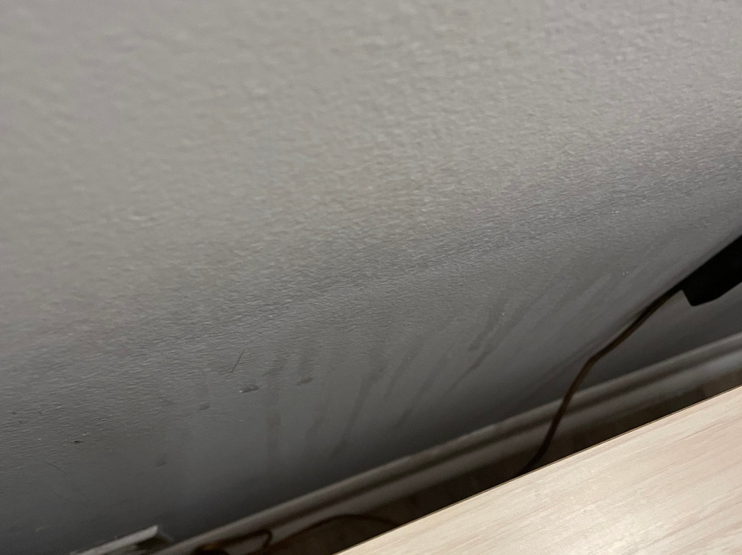 The Beach House主图