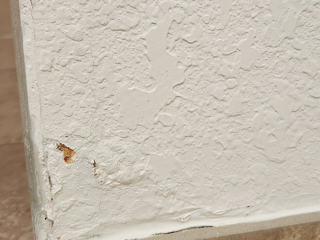 Hampton Inn & Suites Jacksonville-Airport主图