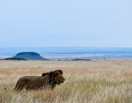Mamistravel safaris-蒙巴萨必去景点