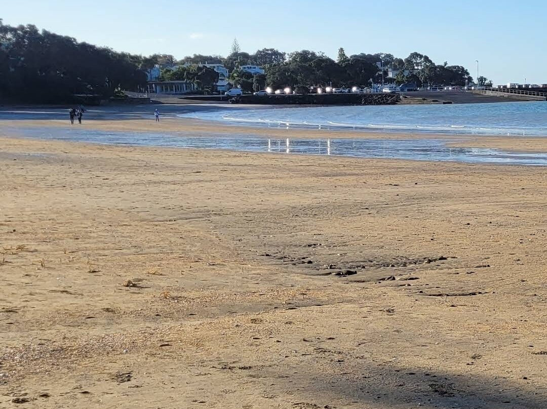 塔卡普纳海滩-奥克兰中心地区必去景点