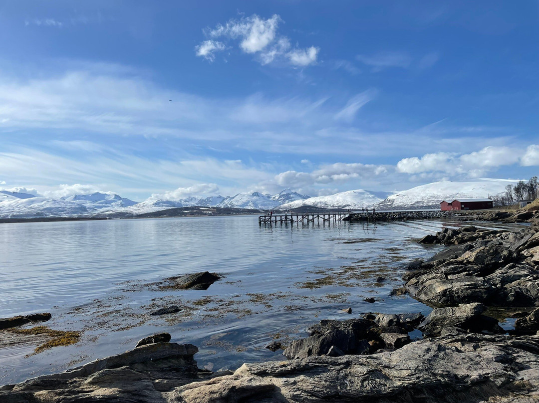 Tromsø Telegrafbukta景点图片