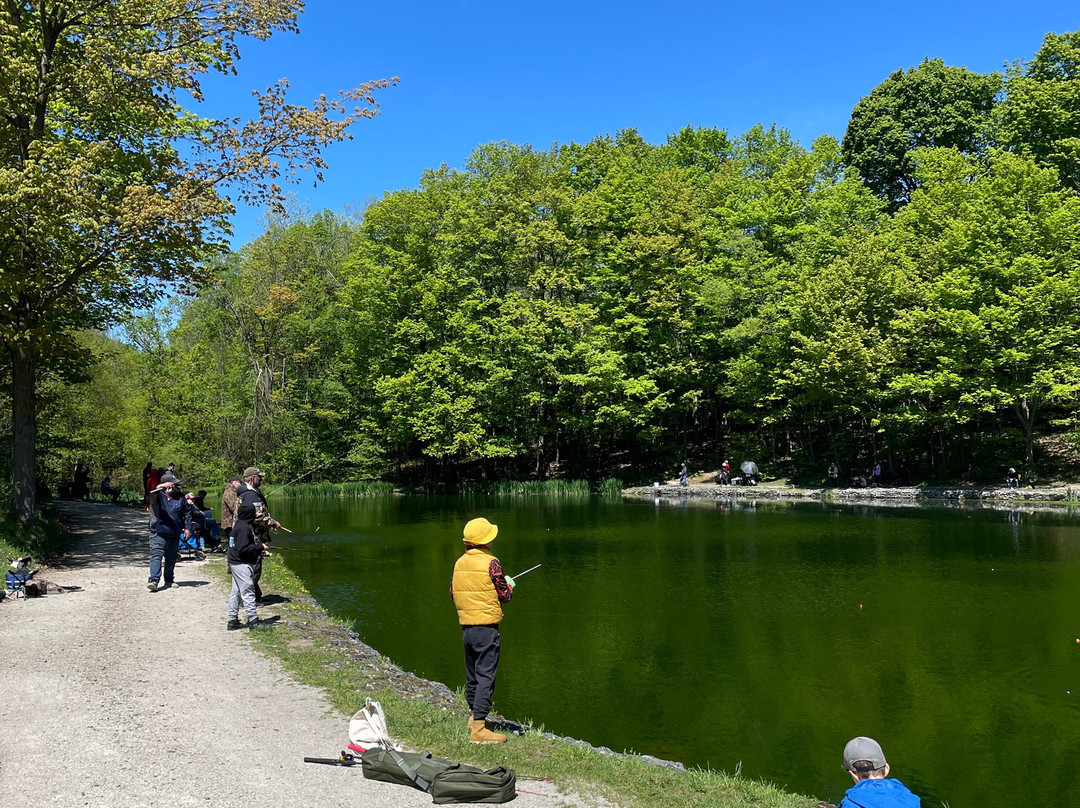 Glen Haffy Conservation Park-卡利登必去景点