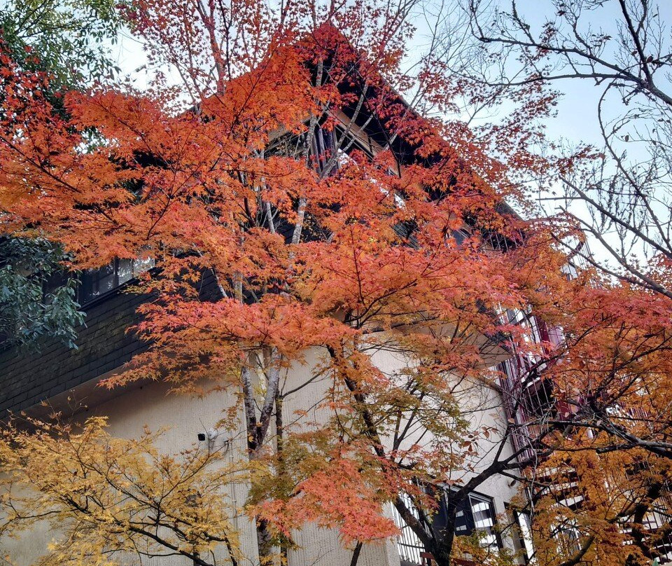 山之酒店 梦想园主图