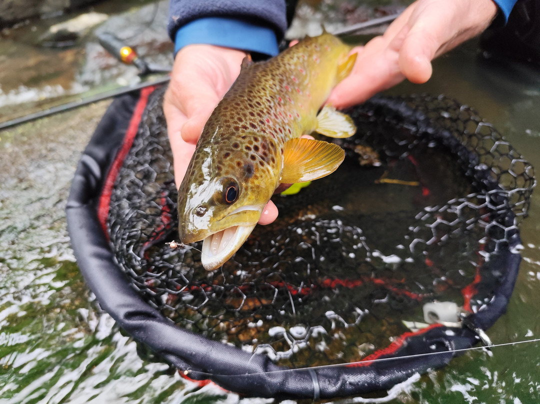 Normandie Pêche Sportive