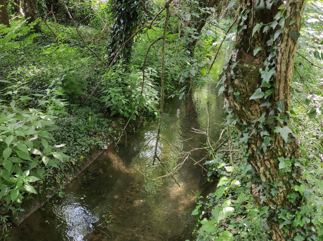 Bosco Wwf di Vanzago景点图片