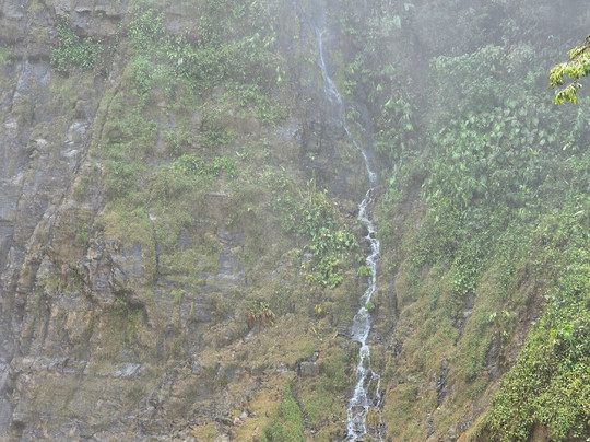 ATV Monkey Ride-主日镇必去景点