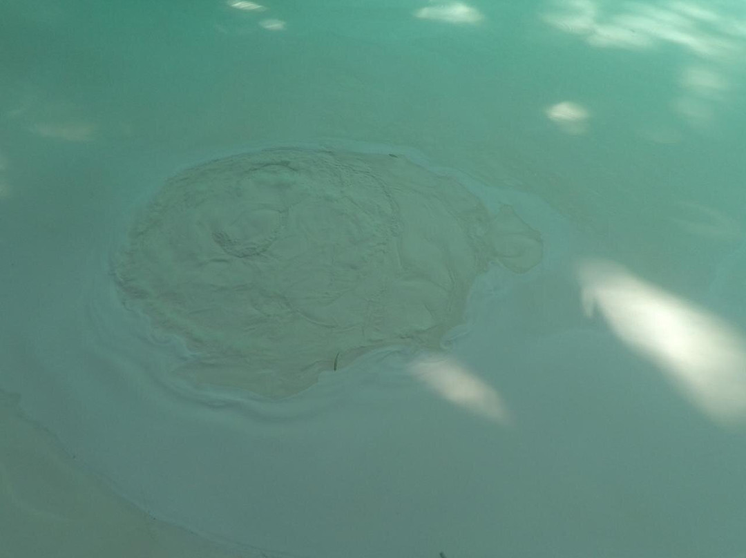 Fervedouro Do Alecrim-Sao Felix do Tocantins必去景点