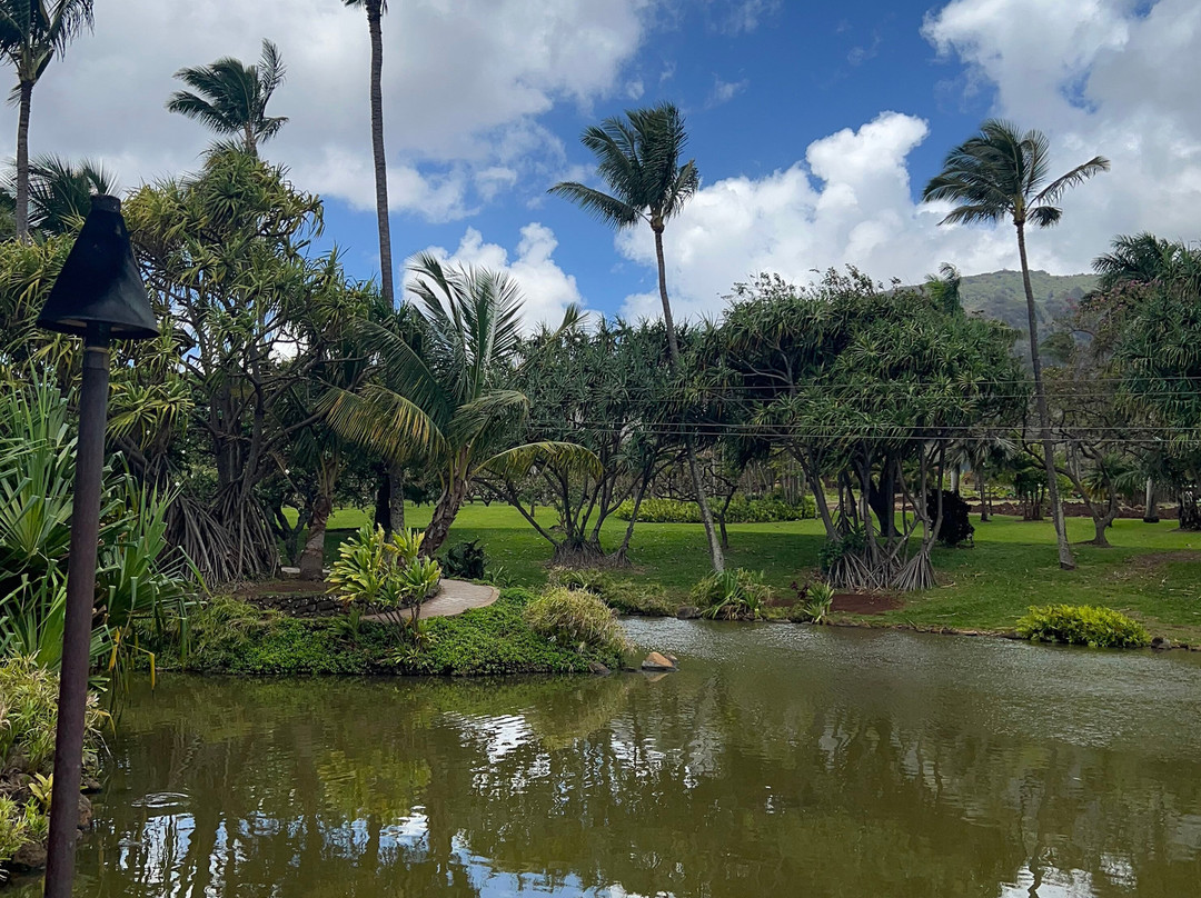 Maui Zipline Company-怀露库必去景点