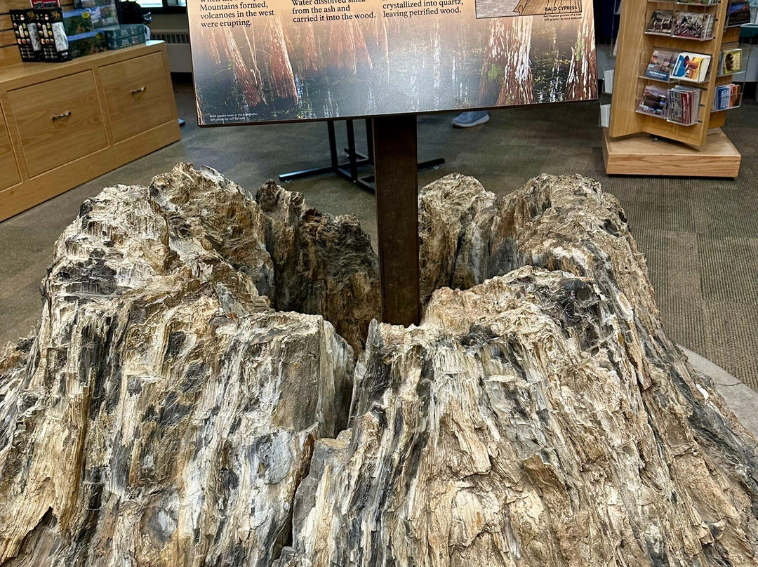 South Unit-Theodore Roosevelt National Park必去景点