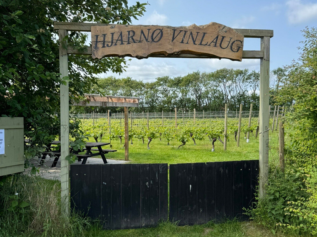 Hjarno-霍尔森斯必去景点