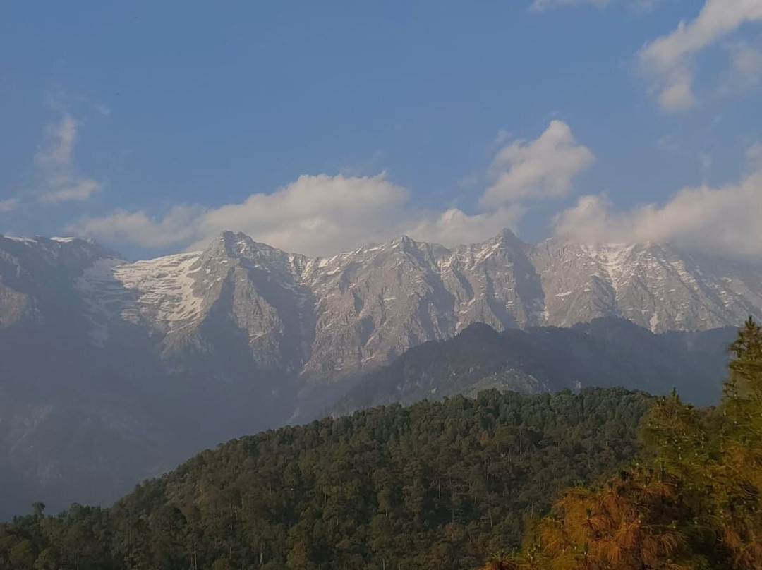 Lemon Tree Hotel Mcleodganj主图