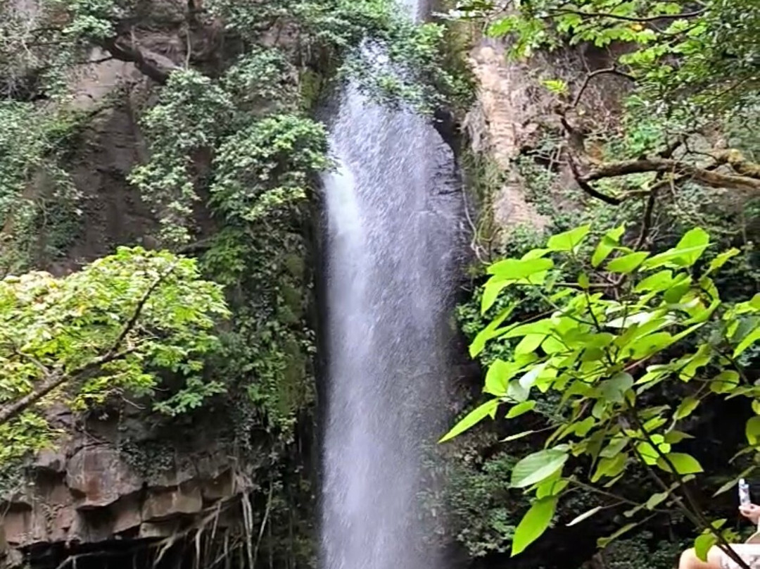 Parque Nacional Rincón de la Vieja景点图片