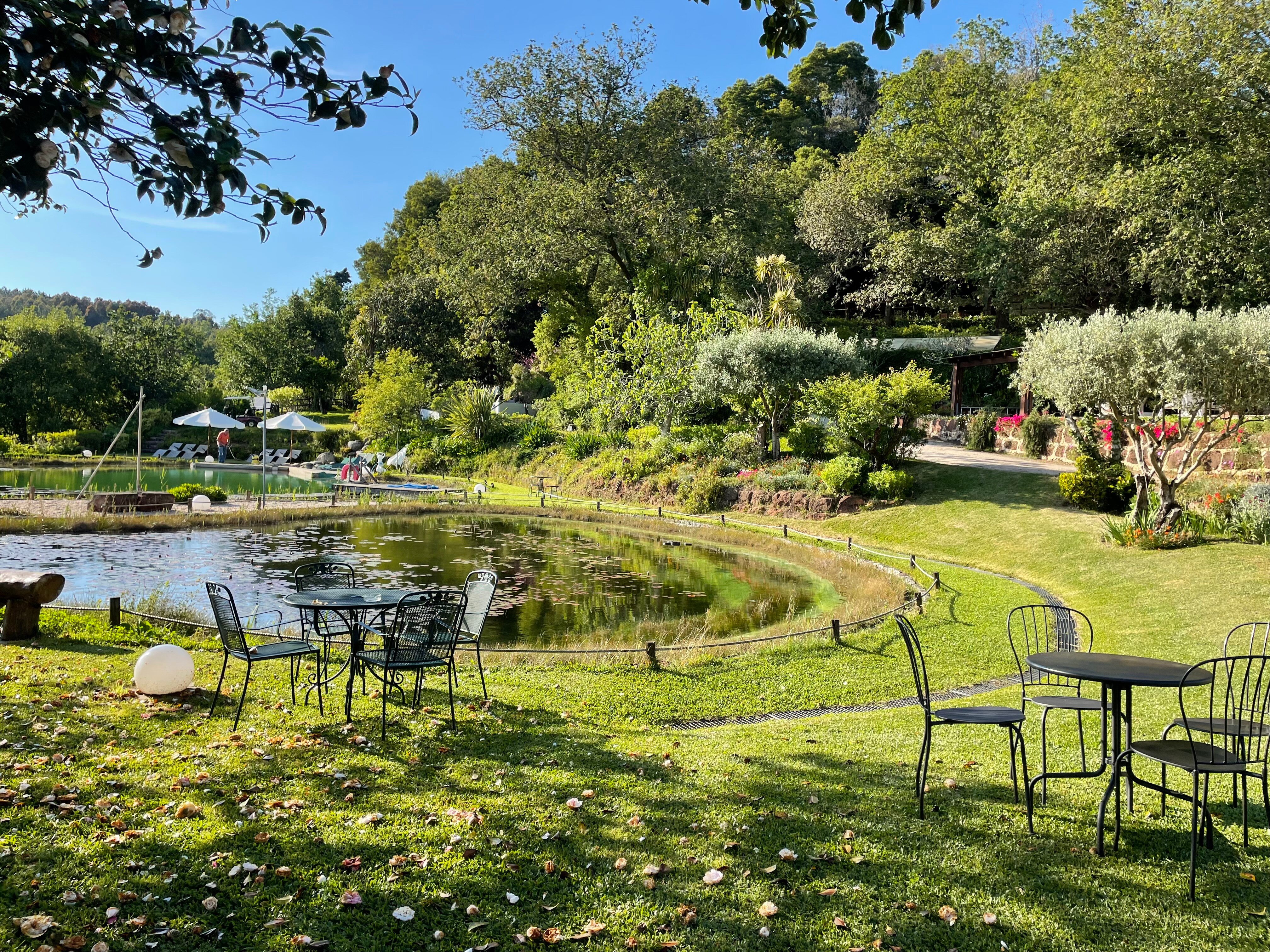 Quinta da Fontoura-泳池