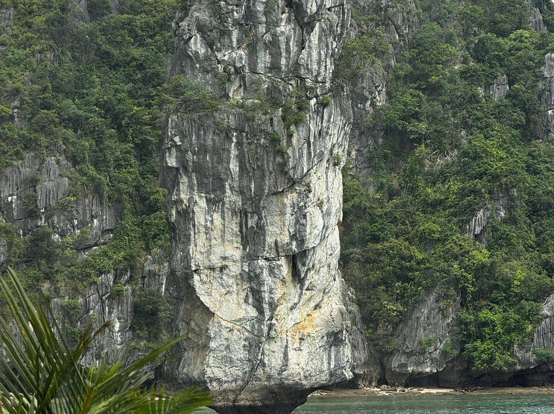 Halong Bay Cruises-下龙湾必去景点