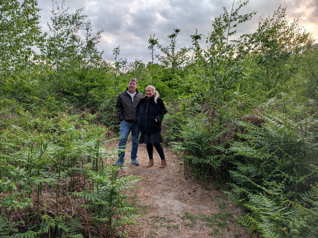 Rendlesham Forest Centre-Woodbridge必去景点