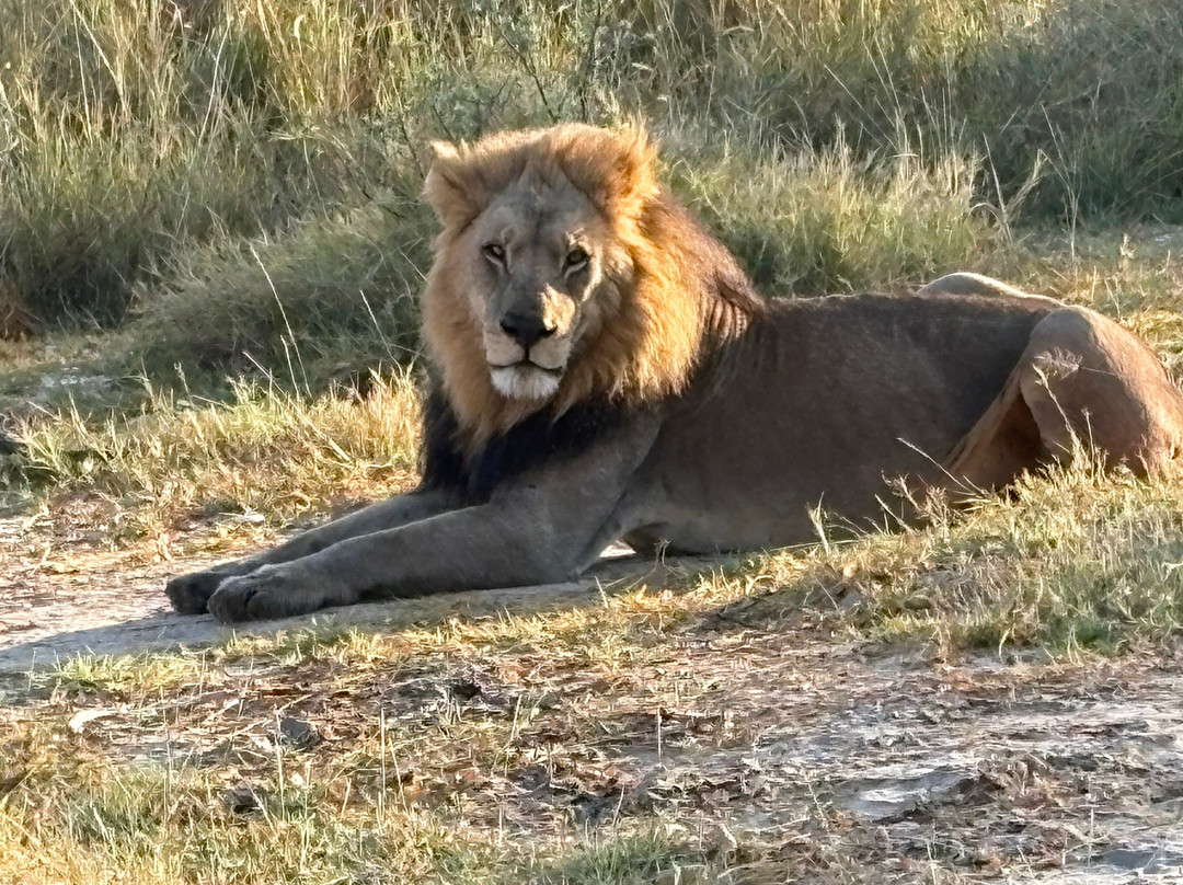 Okuti Camp
