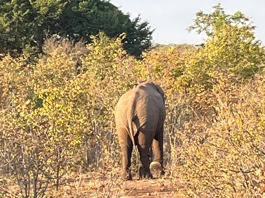 The Wallow Lodge主图