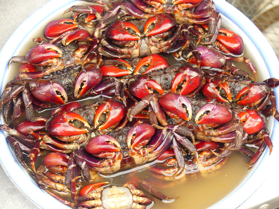 Sa Dec Market-Sa Dec必去景点