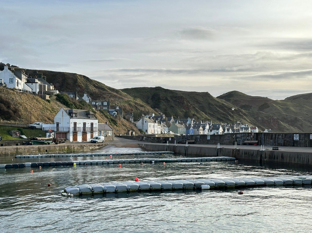 Gardenstown Harbour-Gardenstown必去景点
