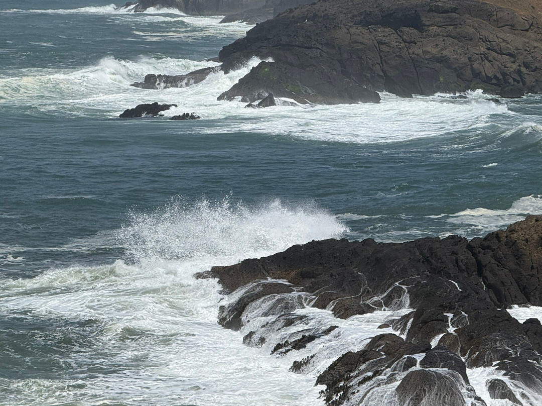 Rocky Creek State Scenic Viewpoint-Depoe Bay必去景点