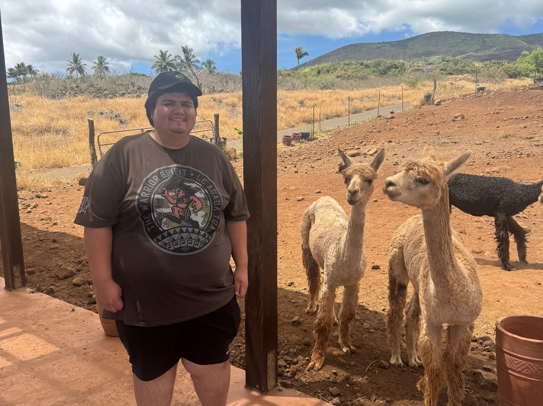 Maui Dragon Fruit Farm-拉海纳必去景点