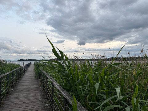 滨海度假村和温泉酒店主图