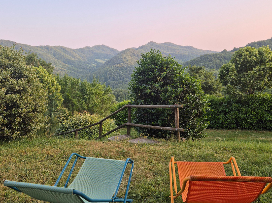 Bio Agriturismo Chignoni主图