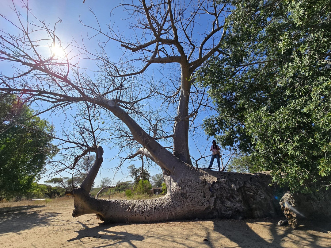 Impalila Island-Katima Mulilo必去景点