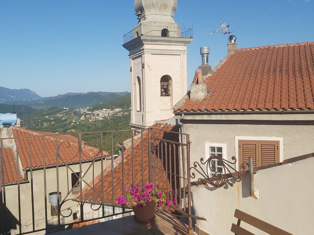 Palazzo Don Carlo