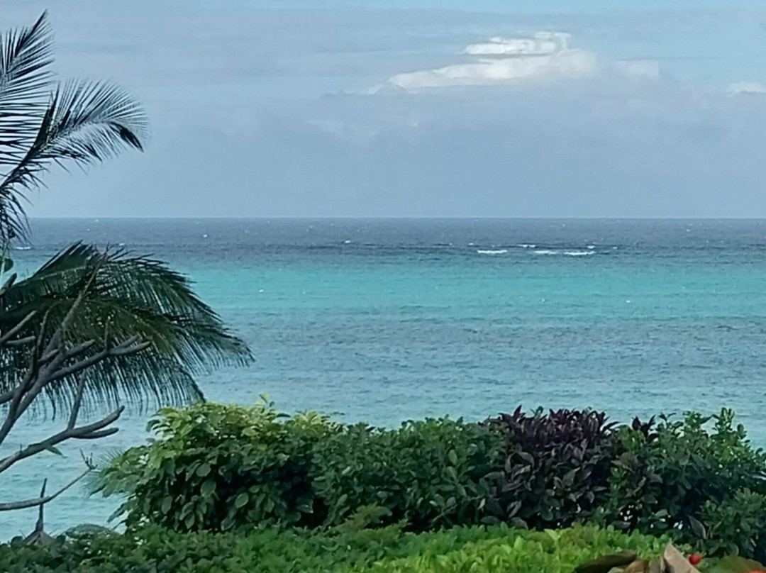 Pearl Beach By Sansi主图