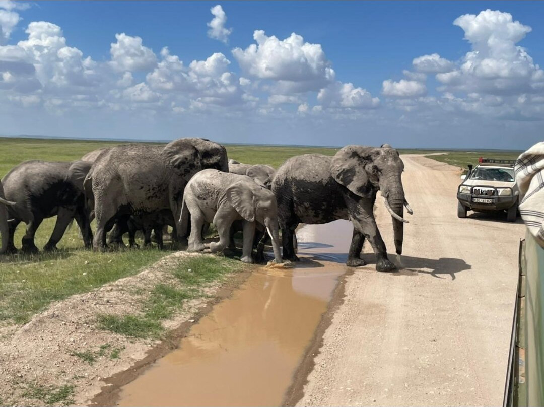Tsavo Travel