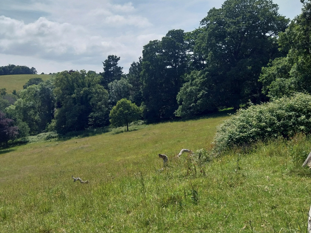 National Trust Trelissick House And Gardens-Feock必去景点