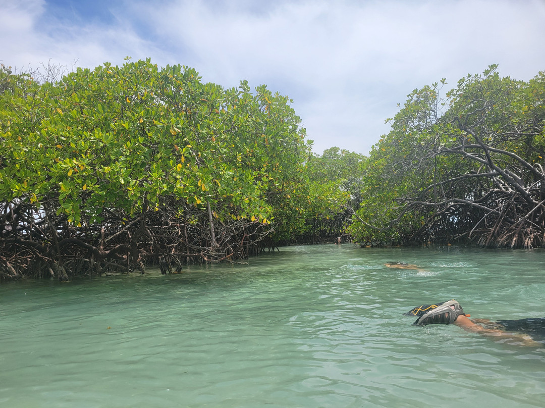 Cayo Caracoles-Lajas必去景点