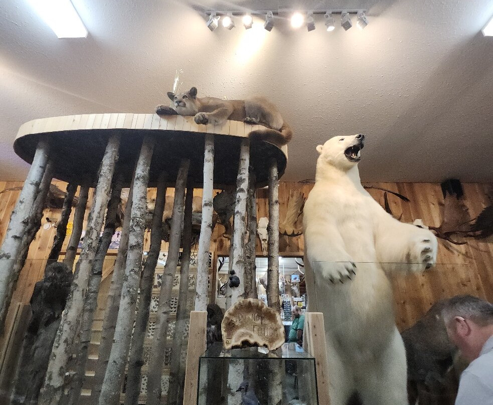Canadian Wildlife Museum and Gift Shop-弗农必去景点