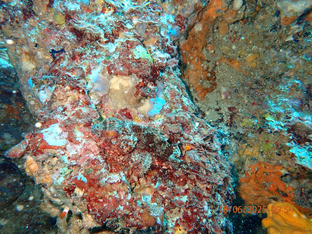 Croatia Divers Vela Luka景点图片