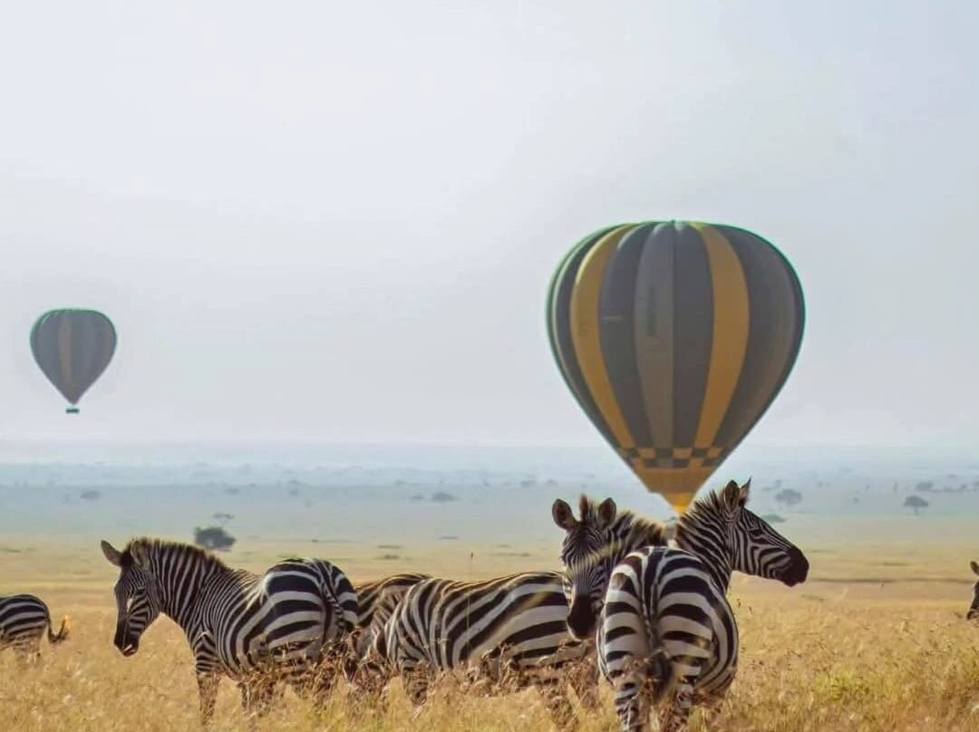 OnTarget Safari-桑给巴尔岛必去景点