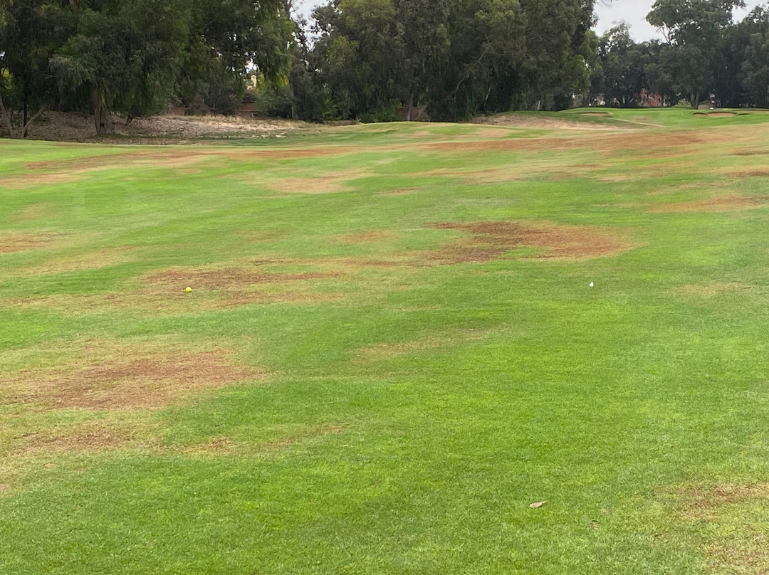 Golf de l'Ocean-阿加迪尔必去景点