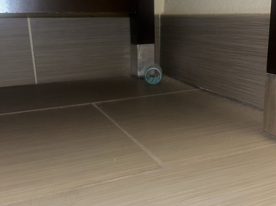 Best Western Lindsay Inn & Suites主图