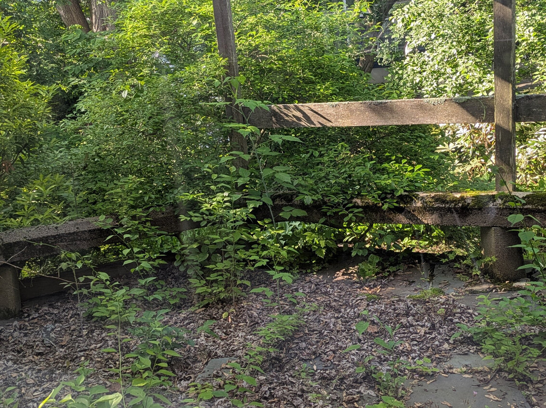 The Water Street Inn主图