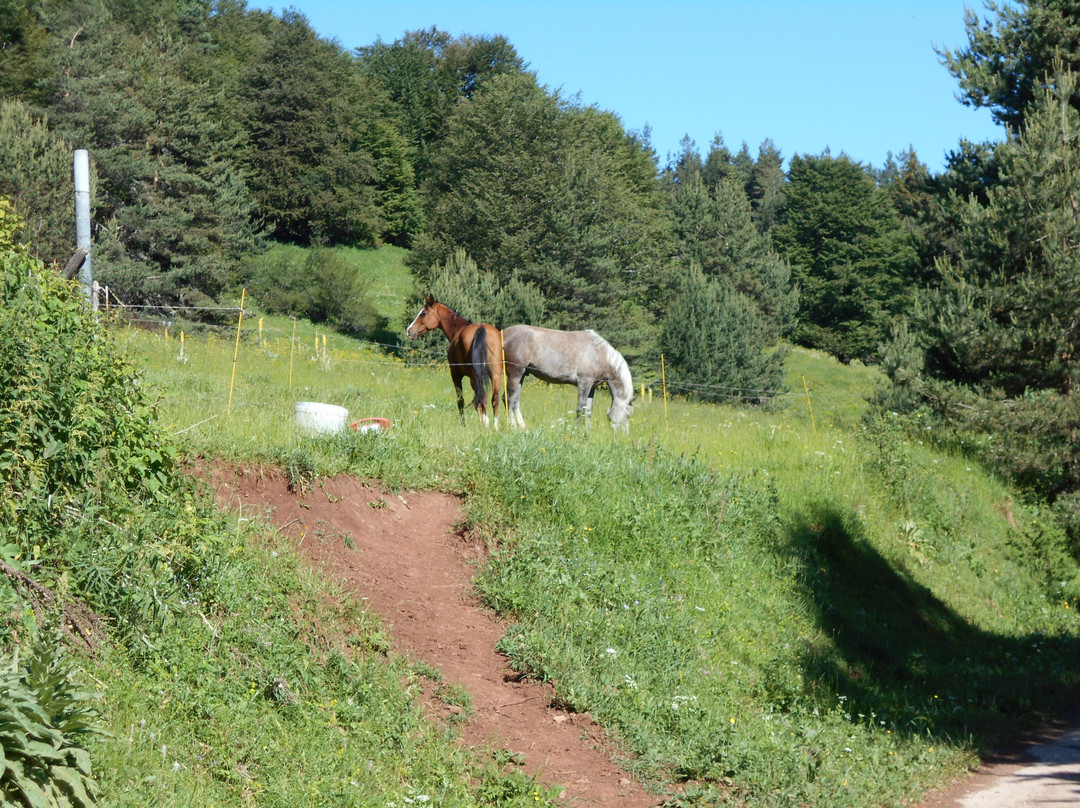 Horse riding Asparuh-Hvoyna必去景点