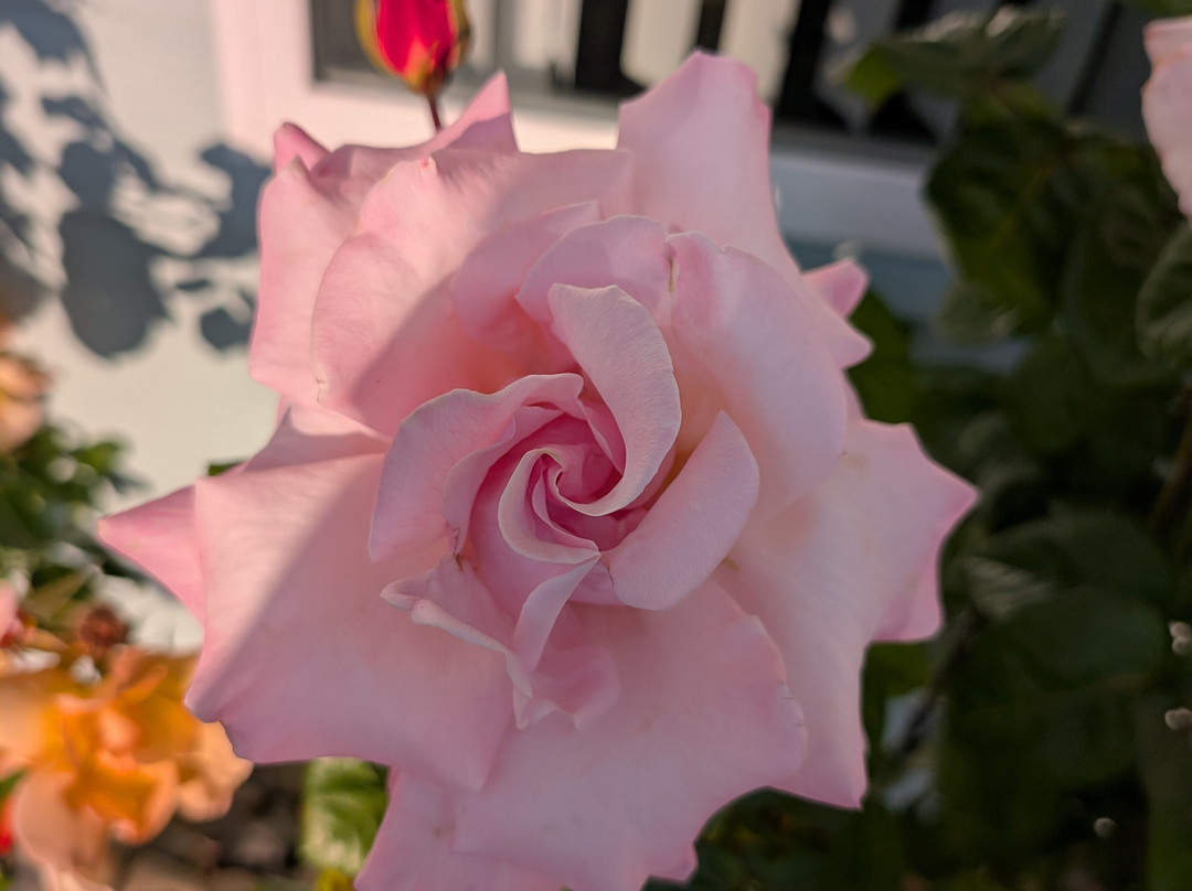 Harborview Inn & Rv Park主图