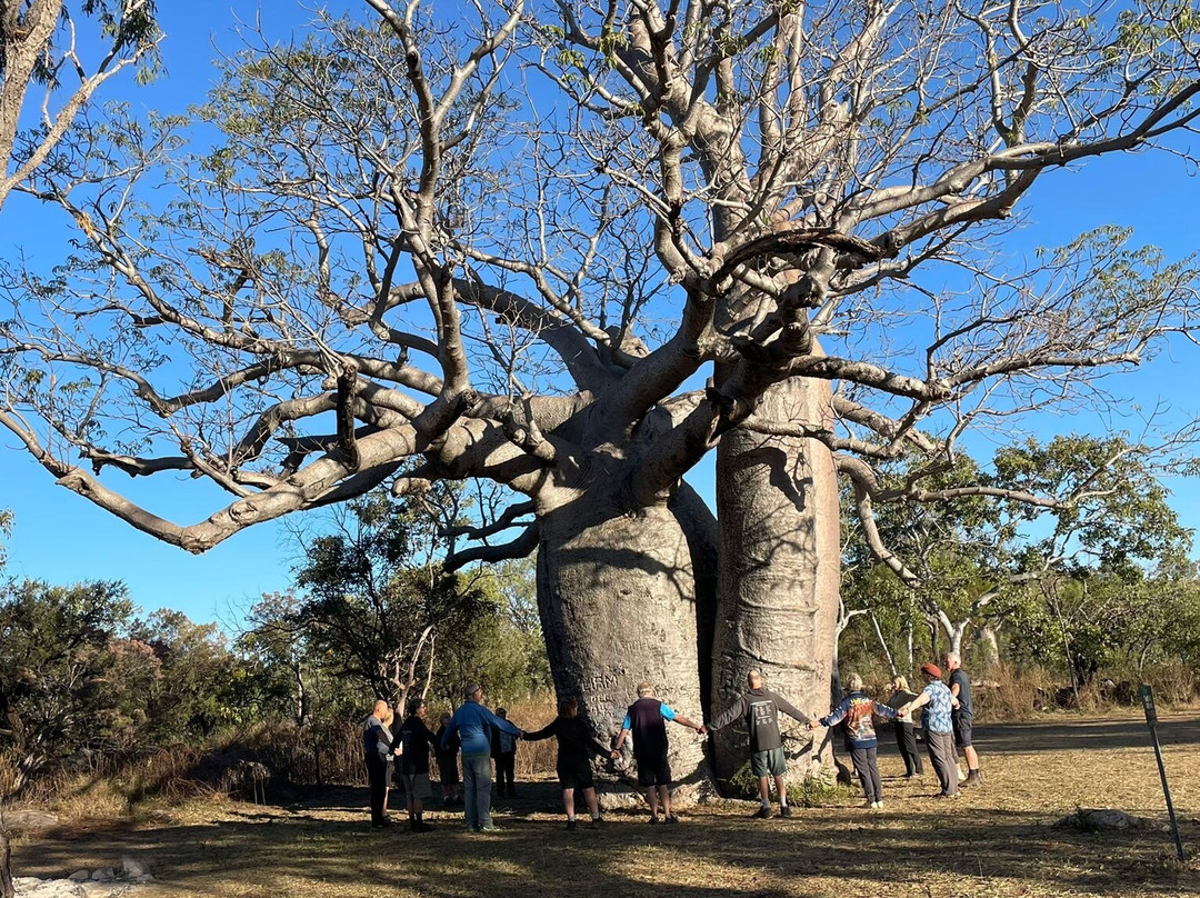 Kimberley Safari Tours景点图片