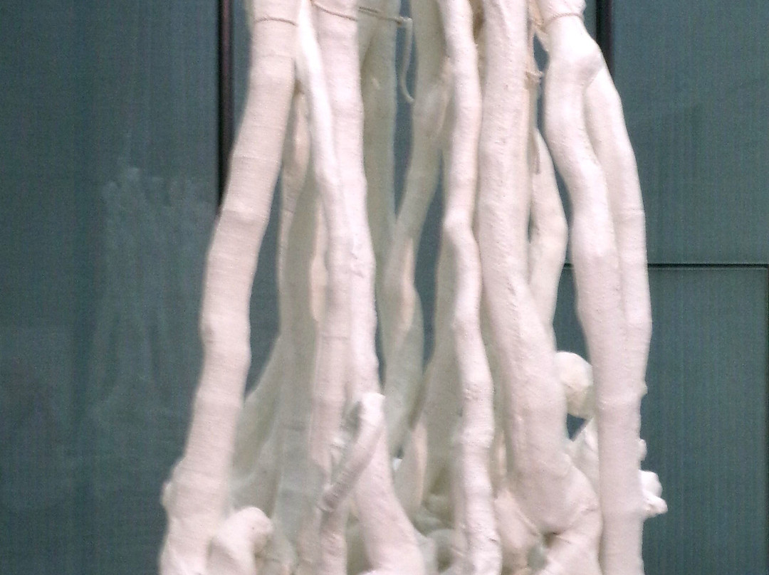 Lentos Kunstmuseum (Museum of Modern Art Linz)-林兹必去景点