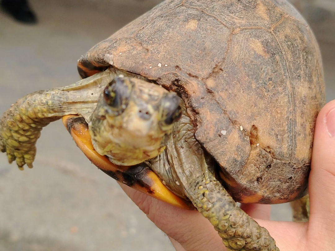 Zoo Parque Loro Puebla-普埃布拉必去景点