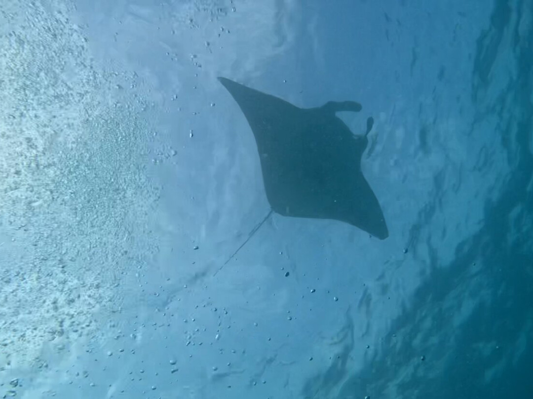 Euro-Divers LUX South Ari Atoll-南阿里环礁必去景点