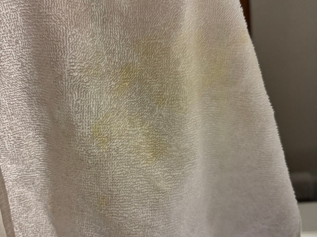 Holiday Inn Express & Suites Chickasha By IHG主图