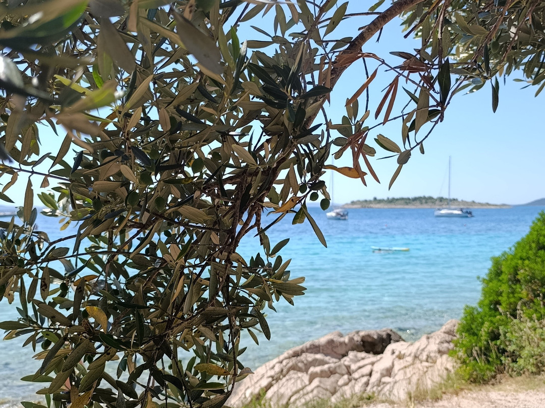 Podvrske Beach-Murter必去景点