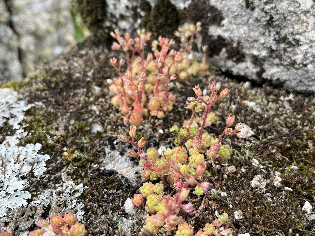 Muralhas e Castelo de Trancoso-Trancoso必去景点