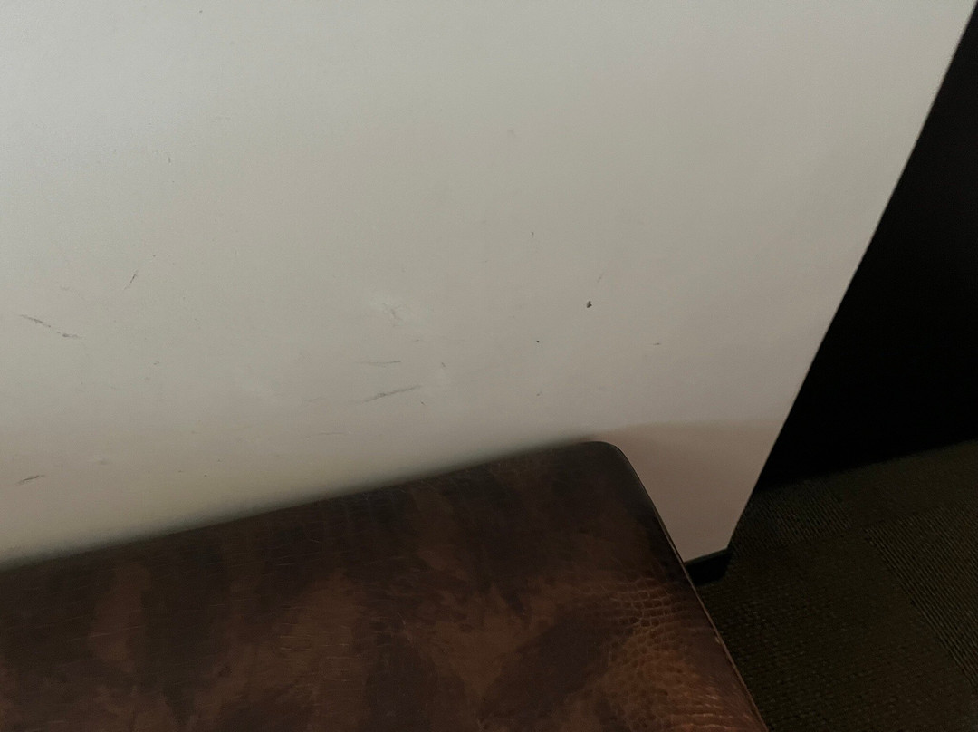 巴基西梅托丽都精品酒店主图