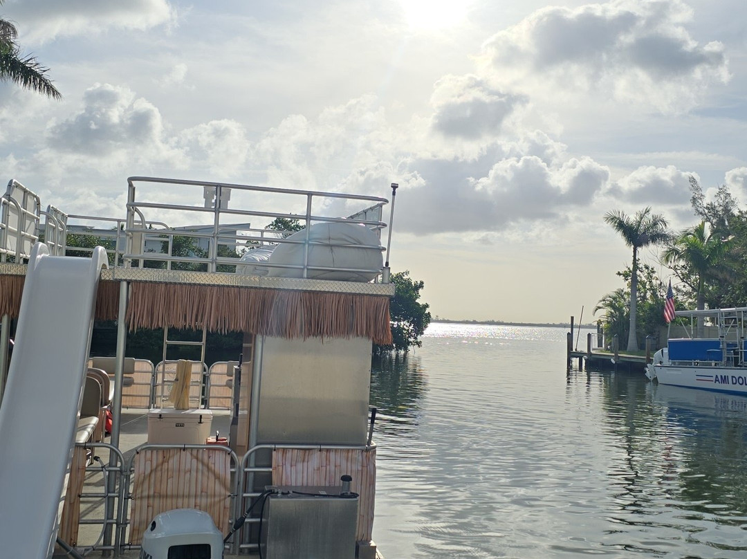 Anna Maria Island Dolphin Tours-Anna Maria必去景点